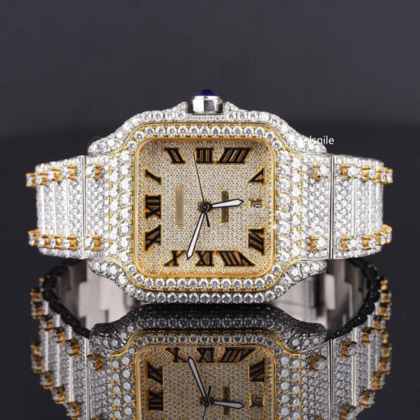 Elegant Moissanite Watch Iced Out Roman Style Diamond Watch Automatic